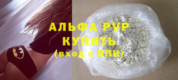 индика Михайлов