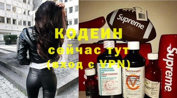 индика Михайлов