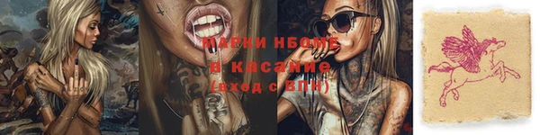 индика Михайлов