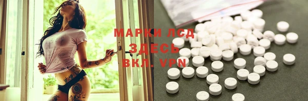 индика Михайлов