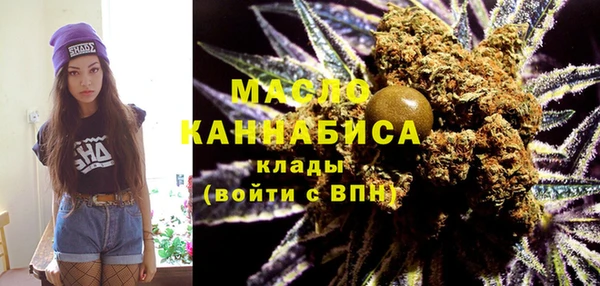 индика Михайлов