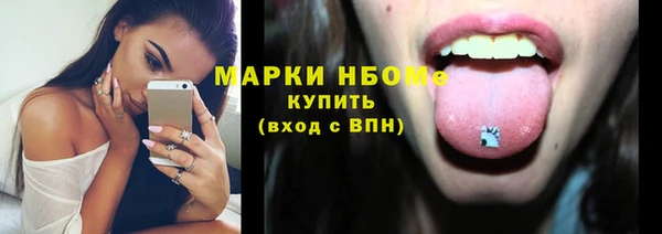 прущие грибы Наволоки