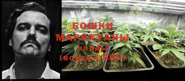 прущие грибы Наволоки