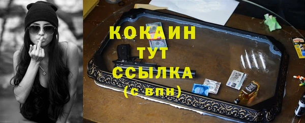 индика Михайлов