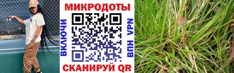 Галлюциногенные грибы GOLDEN TEACHER Пласт