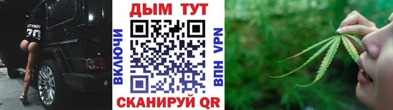 где купить наркотик  Пласт  Бошки марихуана ГИДРОПОН 